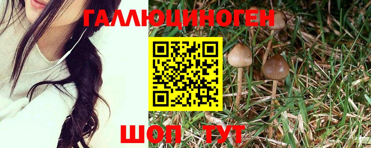 Псилоцибиновые грибы Magic Shrooms Барнаул
