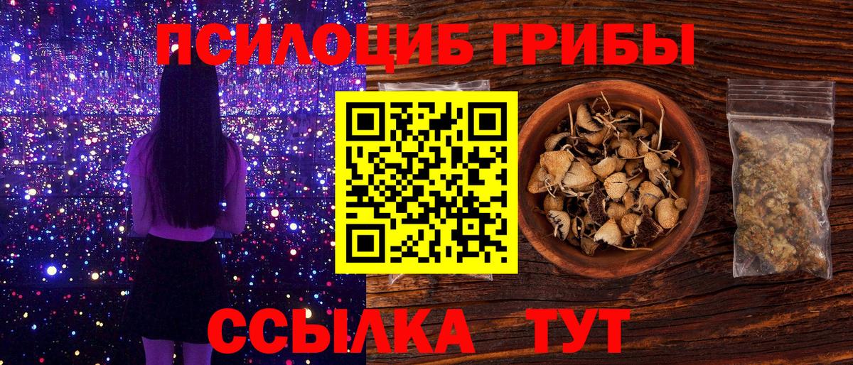 Галлюциногенные грибы Psilocybe  Вход с VPN  Барнаул 
